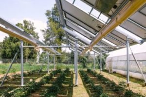 Ombrea lève 1 million d’euros pour promouvoir une agriculture durable et performante auprès notamment de Région Sud Investissement
